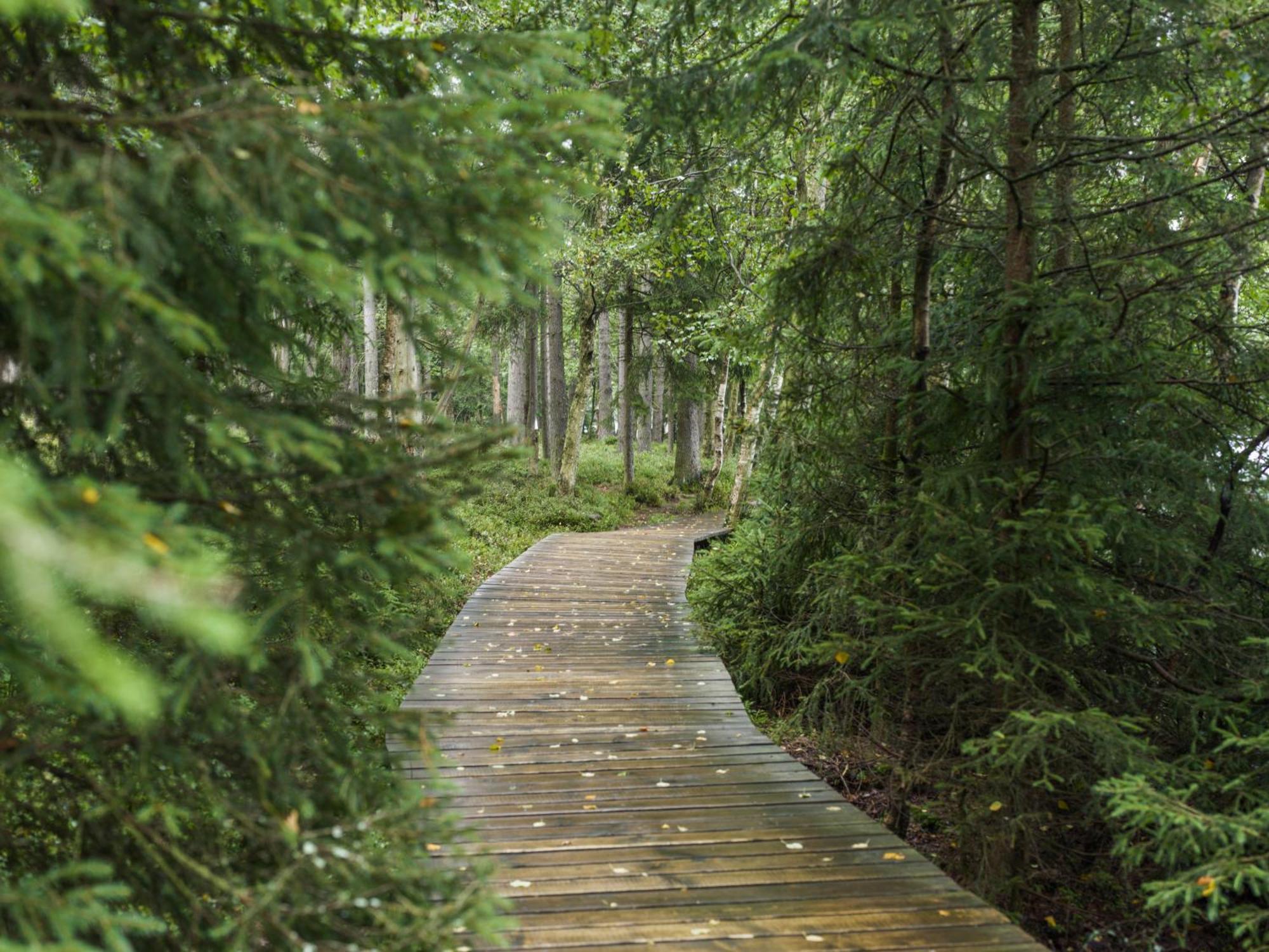 Falkensteiner Spa Resort マリアーンスケー・ラーズニェ エクステリア 写真 The boardwalk at the end of the trail